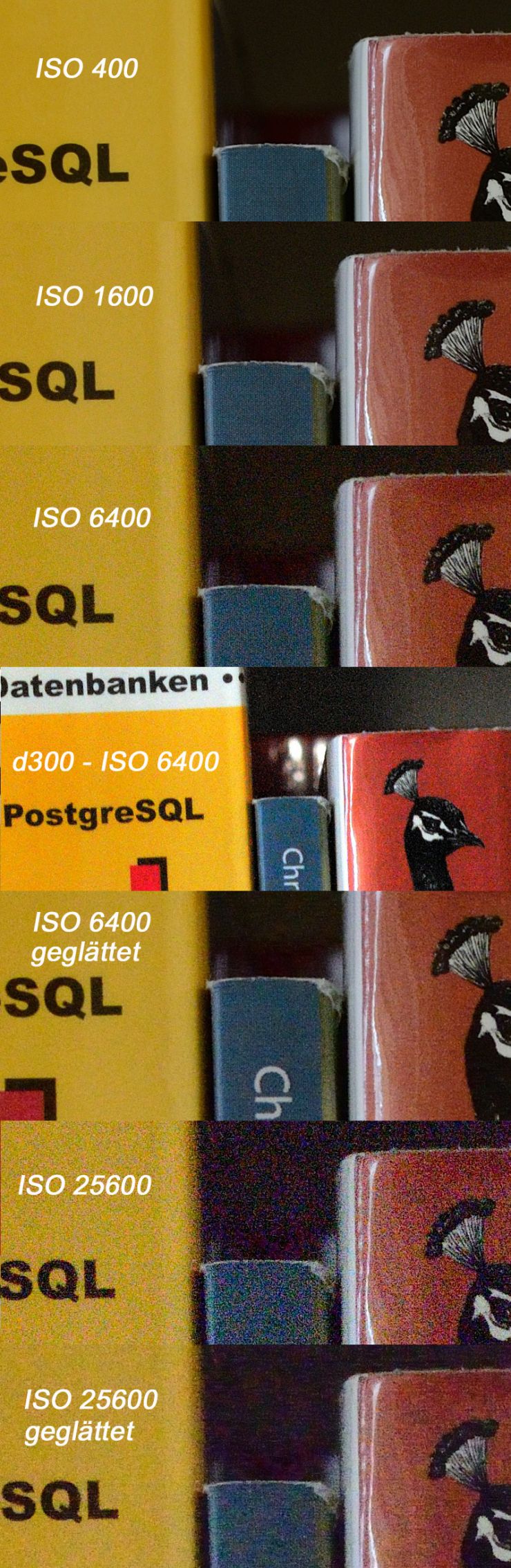 D800 ISO Test